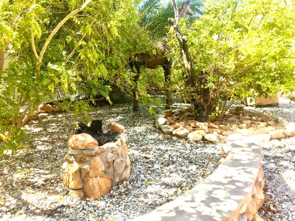 Mountain View Eco Lodge Montagu Esterno foto