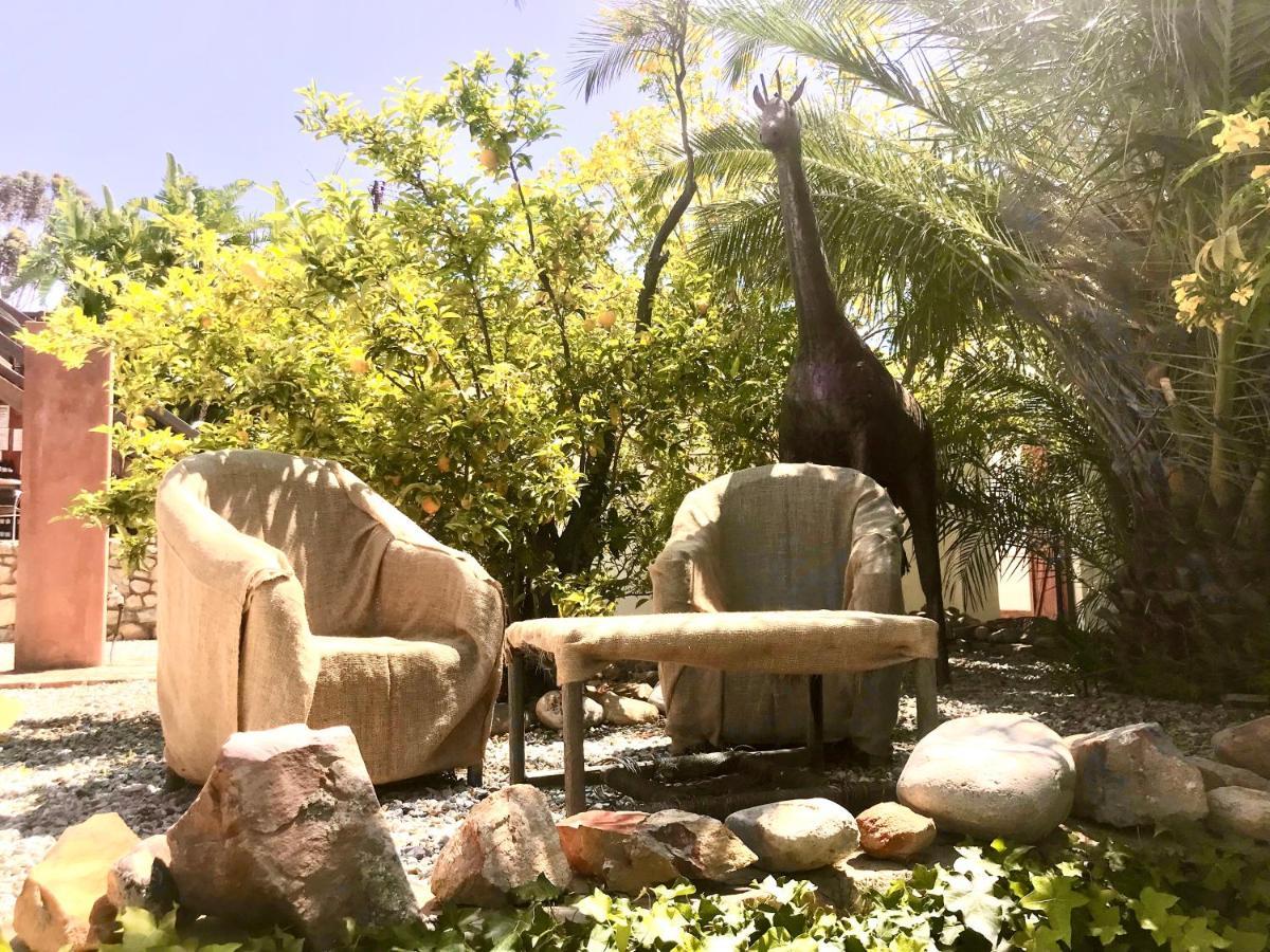Mountain View Eco Lodge Montagu Esterno foto