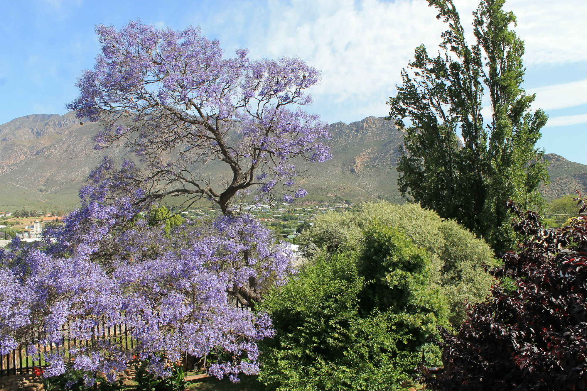 Mountain View Eco Lodge Montagu Esterno foto