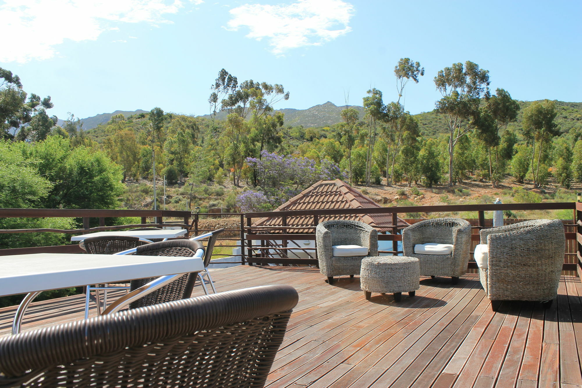 Mountain View Eco Lodge Montagu Esterno foto